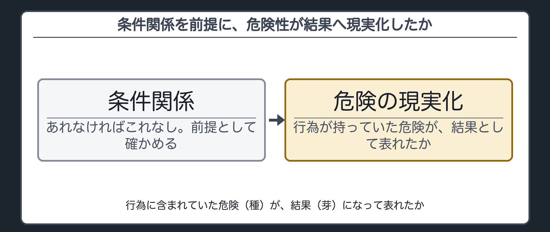 条件関係を前提に、危険性が結果へ現実化したか